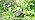 Solar Butterfly Lights Outdoor, Upgraded Solar Swaying Garden Light - Image 7