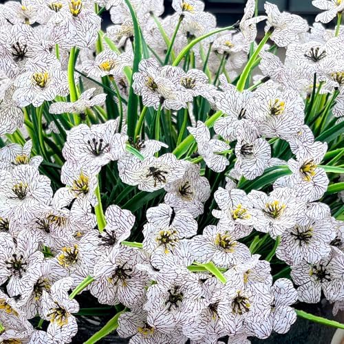 20 Bundles Artificial Flowers for Outdoors, UV Resistant Fake Flowers with Plastic Plants For Outside, Faux Silk Flowers for Planter outdoor, Fake Realistic Flower for Planters Window Box Decor-White - Image 6