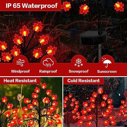 Fall Décor Solar Garden Lights for Outdoor Thanksgiving Decorations,2PACK 40LED RED Maple Leaves Path Lights,Autumn Harvest Outdoor Decorations,Solar Fall Lights for Thanksgiving Party Decor - Image 3