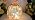 Fall Decorations for Home,Mercury Glass Pumpkin Lights with Timer(Rosegold) - Image 7