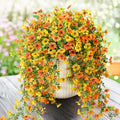 ZFProcess Artificial Fall Mums Fake Flowers Plants for Outdoor Home Decor by ZFProcessArtificialFlowers