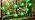 St Patrick's Day Shamrock Lights Plug in, 8.5Ft Outdoor Shamrock St Patrick's Day Decorations Lights Waterproof with 10 LED Green Clover Light UL Listed for Home Window Irish Party Garden Birthday - Image 7