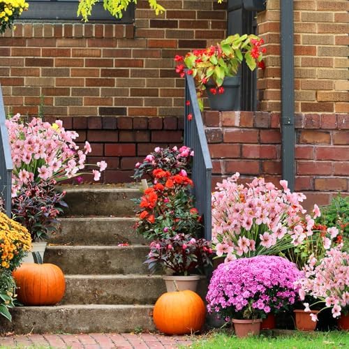 ColoPlay 24 Peach Bundles Artificial Flowers for Outdoors/Indoors Fake Flowers Plants for Indoor Outside Garden Porch Window Box Home Wedding Farmhouse (Pack of 2) - Image 4