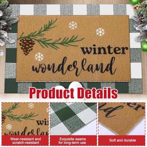 Drydiet 2 Pcs Layered Door Mats, Buffalo Plaid Coir Non Slip Front Porch - Image 4