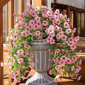 HyeFlora Artificial Flowers for Outdoors Decoration, 2Pcs Pink Fake Hanging Spring Summer Decor, Lifelike Plants, UV & Fading Resistant Flower for Porch Patio Balcony Planter Yard Home Garden by HyeFloraartificialflowers