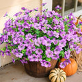 Daisy Artificial Flowers for Outdoors Decor, 12 Bundles Faux Daisy with Eucalyptus Fake Plants Greenery UV Resistant Look Real Colorful Faux Flowers for Outside Planter Porch Patio Yard Garden, Purple by florisso