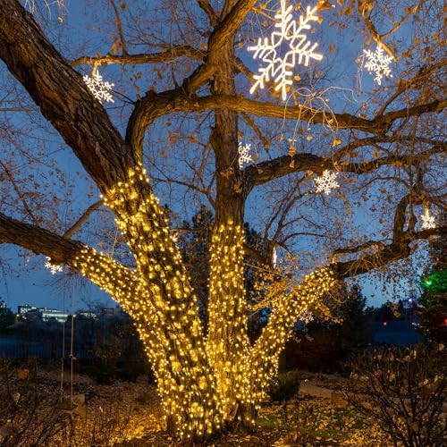 Novelty Lights 24FT 70 LED C6 Christmas String Lights, Warm White - Image 4