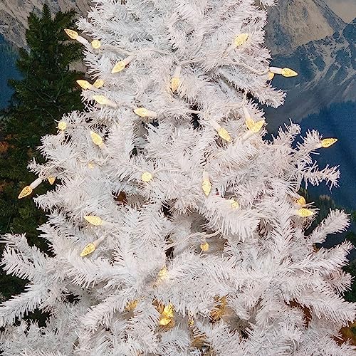 Novelty Lights 24FT 70 LED C6 Warm White Outdoor Christmas String Lights - Image 3