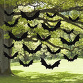 (18 Pcs) Hanging Bats Halloween Decoration Outside, Large Flying Plastic Bats Outdoor Decor, 3 Different Sizes with Cute Eye Stickers for Hanging in The Tree, Porch, Yard, Lawn, Indoor by HaWeier
