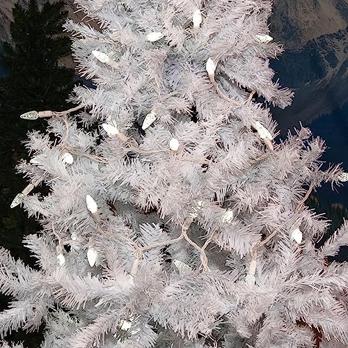 Novelty Lights 24 Feet 70 LED Pure White Outdoor Christmas String Lights - Image 3