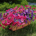 HyeFlora Artificial Flowers for Outdoors Fake Plants Outside Decoration, 12 Bundles Silk Colorful Morning Glory with Eucalyptus UV Resistant Realistic Faux Flowers for Planter Porch Patio Yard Garden by HyeFloraartificialflowers