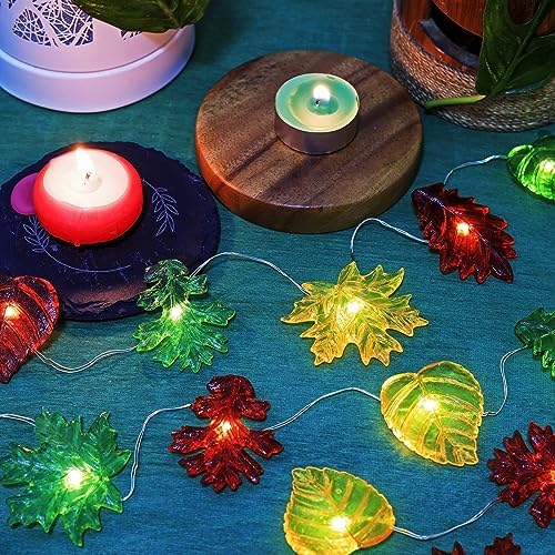 Fall Decoration for home Maple Leaf Lights Thanksgiving Maple Oak Garland Decorative Fairy Lights Battery Operated String Lights Autumn Holiday Decoration 30LED 10ft Christmas Window Room Decor - Image 6