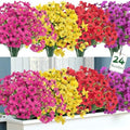 Ouddy Decor 24 Bundles Artificial Flowers for Outdoors Decor, Multicolor by OuddyDecor