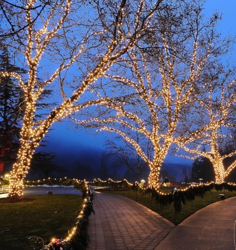 Novelty Lights 34ft 100 LED Warm White Christmas String Lights, Brown Wire - Image 5