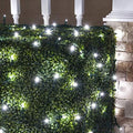 Cool White 5mm LED Christmas Net Lights on Green Wire by WintergreenLighting