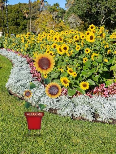 hogardeck Garden Decor for Outside, 39" Sunflower Pot Decorative Garden Stakes for Spring Outdoor Decor, Metal Yard Art Sunflower Welcome Sign for Porch Patio Lawn Pathway Backyard Decorations - Image 4