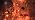 JMEXSUSS Connectable 100 LED Orange Halloween Lights Indoor with 8 Modes - Image 7