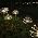 HPUFKOT Solar Garden Lights Outdoor,Waterproof Garden, 2PC 200 LED Twinkling Firework Lights Decorative with 8 Modes,Decor for Yard Patio Pathway Lawn for Yard Outside Fairy Decorative - Image 7