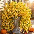 INSPRING Artificial Flowers Fall Faux Outdoor Outside Plants, 2 PCS Fake Silk UV Resistant Look Real Yellow Daisy Trailing Vines for Front Door Porch Planter Urn Patio Balcony Decoration by INSPRING