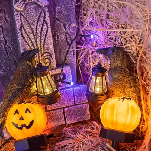Dazzle Bright 2 Pack Halloween Crow Pathway Lights Outdoor, Solar Powered Resin Crow with Pumpkin Walkway Lights, Stake Light for Halloween Pathway Garden Lawn Yard Gifts Decoration - Image 4