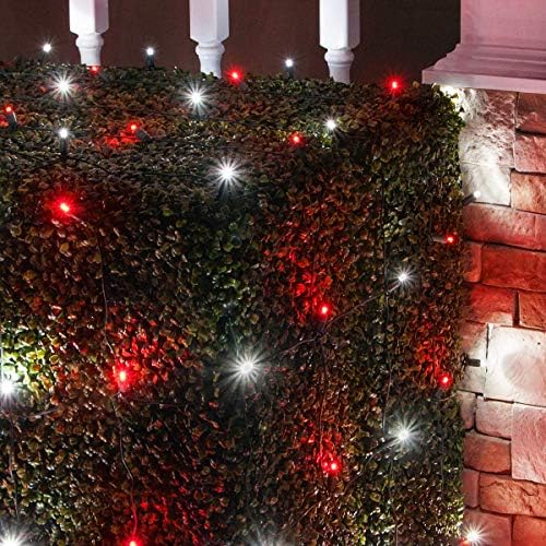 Wintergreen Lighting 100 5mm Red and White Twinkle LED Net Lights, 4 x 6 ft Green Wire Outdoor Holiday Hedge & Bush Lighting for Christmas Displays, Commercial Grade by WintergreenLighting