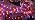 JMEXSUSS 100 LED Globe Orange and Purple Halloween Lights Indoor Remote - Image 7