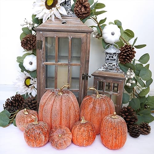 Winlyn 7 Pcs Assorted Orange and Black Artificial Pumpkins Harvest Decorative Pumpkins for Rustic Farmhouse Fall Wedding Thanksgiving Halloween Table Centerpiece Mantel Shelf Seasonal Décor - Image 3