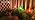 Jumbo C9 Christmas Pathway Lights Outdoor - 8.5 Feet 5 LED C9 Walkway Light - Image 7
