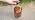 Bigfoot Gift Solar Lanterns Outdoor Waterproof - Image 7