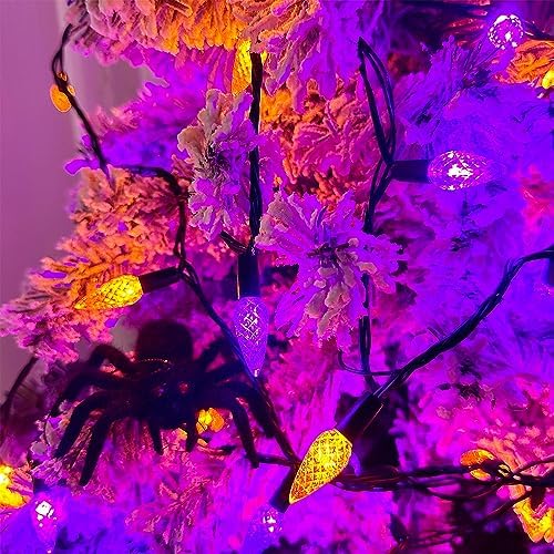 WATERGLIDE Halloween C6 String Lights, 33ft 100 LED Black Wire Fairy Lights with 29V Safe Adaptor, 8 Lighting Mode, Waterproof for Indoor Outdoor Patio Xmas Tree Party Decor, Orange & Purple - Image 5