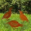 3 Pack Rusty Quail Family Decorative Garden Stakes, Metal Birds Statues Garden Sculptures and Yard Art, Patio, Lawn Ornaments Decor(Brown) by RSACCSKY