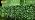 Dazzle Bright St. Patrick's Day 200 LED Net Lights, 9.8 FT x 6.6 FT Connectable Mesh Lights Clear Wire with 8 Lighting Modes, Christmas Decorations for Indoor Outdoor Bush Yard Garden Decor (Green) - Image 7
