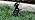 Solar Lights Outdoor,Metal Dog with Hanging Lantern Solar Lights - Image 7