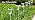 15 Pack Solar Pathway Lights Outdoor Waterproof, Cool White LED - Image 7