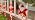 Santa Clause Decorations, 23" Candy Cane Star Santa Lights, Twinkle Christmas Pathway Lights Outdoor for Lawn, Sidewalk, Walkway, Driveway, Cute Holiday Christmas Decorations Outdoor Yard, 4 Packs - Image 7