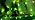 Hopolon St. Patrick's Day Lights,2 Pack Total 100 Count 26 FT,White Wire - Image 7