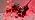 Hopolon Pink Mini Christmas Lights,2 Pack Total 100 Count 26 FT,White Wire - Image 7