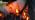 Fall Halloween Decorations Indoor Outdoor - Orange Flickering Flame String Lights Orange Halloween Lights, 12.8Ft C18 Retro Twinkle Flame String Lights with 10+2Pcs C18 Flame Light Bulbs (E12 Base) - Image 7