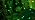 Hopolon St. Patrick's Day Mini Lights, 2PACK Total 100Count 26FT,Green Wire - Image 7